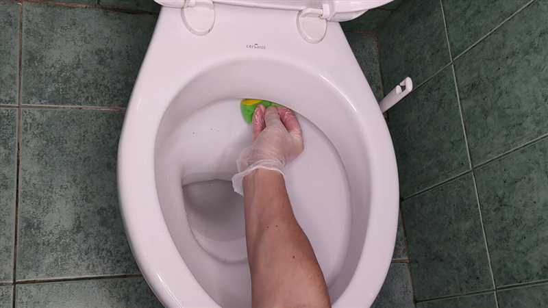 Evde Pas Temizlemek: Rosta ve Tuvalet İçin Yöntemler