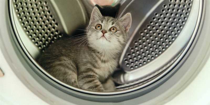LG Çamaşır Makinesi Filtresini Temizlemezsek Ne Olur?