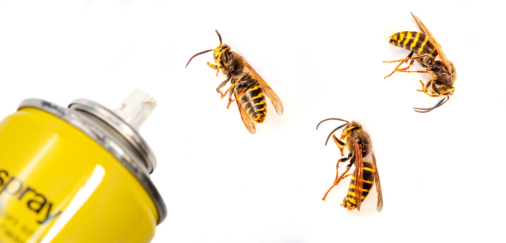 7. Yaban arılarının ahırda yuvalanma alışkanlıkları