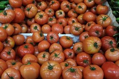 Olgun domatesleri nerede saklamak daha iyi?
