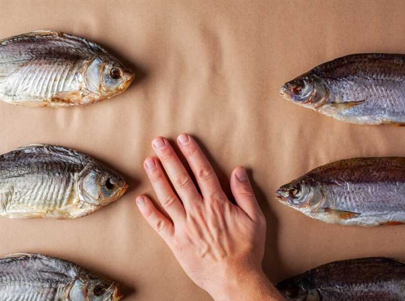 4. Kurutulmuş balığı düzenli olarak kontrol edin: