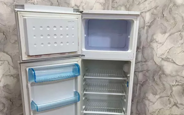 Buzdolabı Olmadan Ördek Saklama