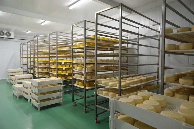 En iyi peynir saklama odası modelleri