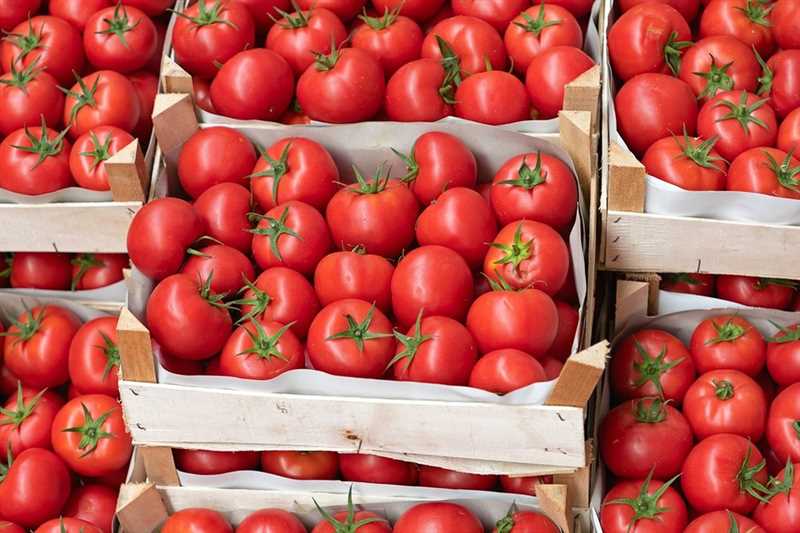 Kurutulmuş domateslerin dondurucuda saklanması için saklama kuralları