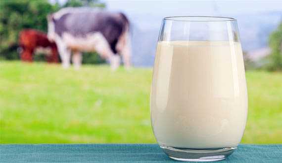 Kaynatılmış inek sütünü nasıl saklamalıdır?