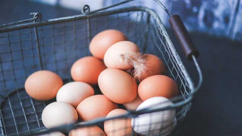 Kaz Tüyü Yumurtaları Ne Kadar Süre Saklanır?