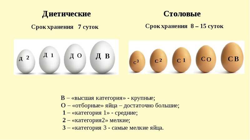 4. Yumurtanın Tüketilme Süresi