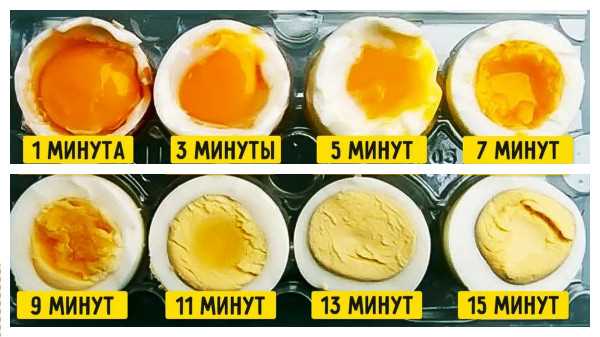 Haşlanmış yumurtanın dondurucuda saklanma süresi