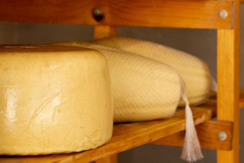 Süzme Peynirini Buzdolabında Saklama Kuralları