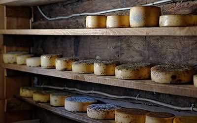 Eritilmiş Peynirler ve Saklama Koşulları